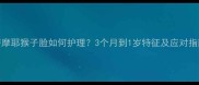 萨摩耶猴子脸如何护理3个月到1岁特征及应对指南