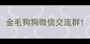 金毛狗狗微信交流群