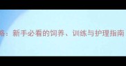 哈士奇养护全攻略新手必看的饲养训练与护理指南附最新数据