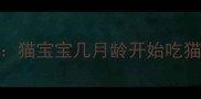 幼猫喂养全攻略猫宝宝几月龄开始吃猫粮科学喂养指南