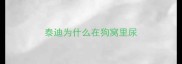 泰迪为什么在狗窝里尿