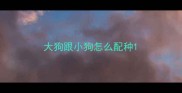 大狗跟小狗怎么配种