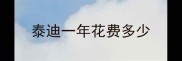 泰迪一年花费多少
