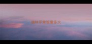 猫咪平常饭量多大