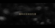 猫咪后宫摆放位置