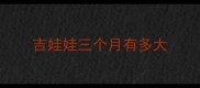 吉娃娃三个月有多大