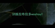 训练拉布拉多woshou