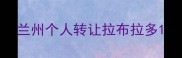兰州个人转让拉布拉多