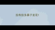 拉布拉多鼻子发花