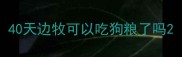 40天边牧可以吃狗粮了吗