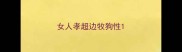 女人孝超边牧狗性