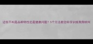 边牧不叫是品种特性还是健康问题5个方法教您科学训练狗狗吠叫