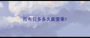 拉布拉多多久能变乖