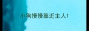 小狗慢慢靠近主人