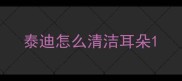泰迪怎么清洁耳朵