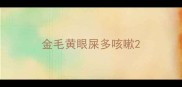 金毛黄眼屎多咳嗽