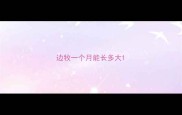 边牧一个月能长多大