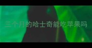 三个月的哈士奇能吃苹果吗