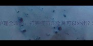 萨摩耶疫苗后护理全攻略打完疫苗几个月可以外出科学防护指南