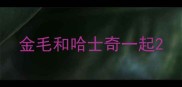 金毛和哈士奇一起