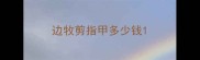 边牧剪指甲多少钱