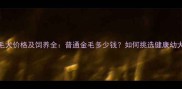 金毛犬价格及饲养全普通金毛多少钱如何挑选健康幼犬