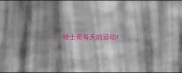 哈士奇每天的运动