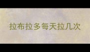 拉布拉多每天拉几次