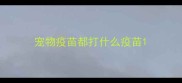宠物疫苗都打什么疫苗