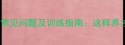 拉布拉多幼犬常见问题及训练指南这样养才健康活泼
