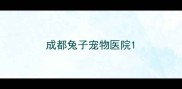 成都兔子宠物医院