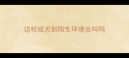 边牧成犬到陌生环境会叫吗