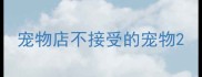 宠物店不接受的宠物