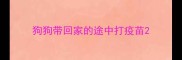 狗狗带回家的途中打疫苗