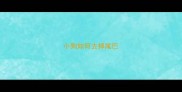 小狗如何去掉尾巴