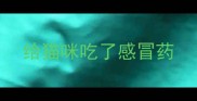 给猫咪吃了感冒药