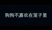 狗狗不喜欢在笼子里