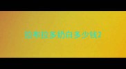 拉布拉多奶白多少钱