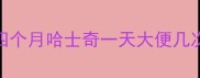 四个月哈士奇一天大便几次