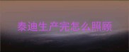 泰迪生产完怎么照顾