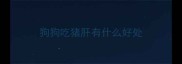 狗狗吃猪肝有什么好处