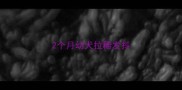 2个月幼犬拉稀发抖