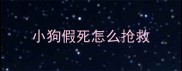 小狗假死怎么抢救