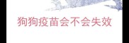 狗狗疫苗会不会失效
