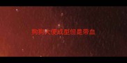 狗狗大便成型但是带血