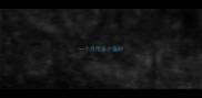 一个月用多少猫砂