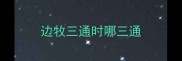 边牧三通时哪三通
