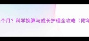 狗狗两岁是几个月科学换算与成长护理全攻略附年龄对照表