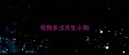 母狗多少天生小狗