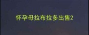 怀孕母拉布拉多出售
